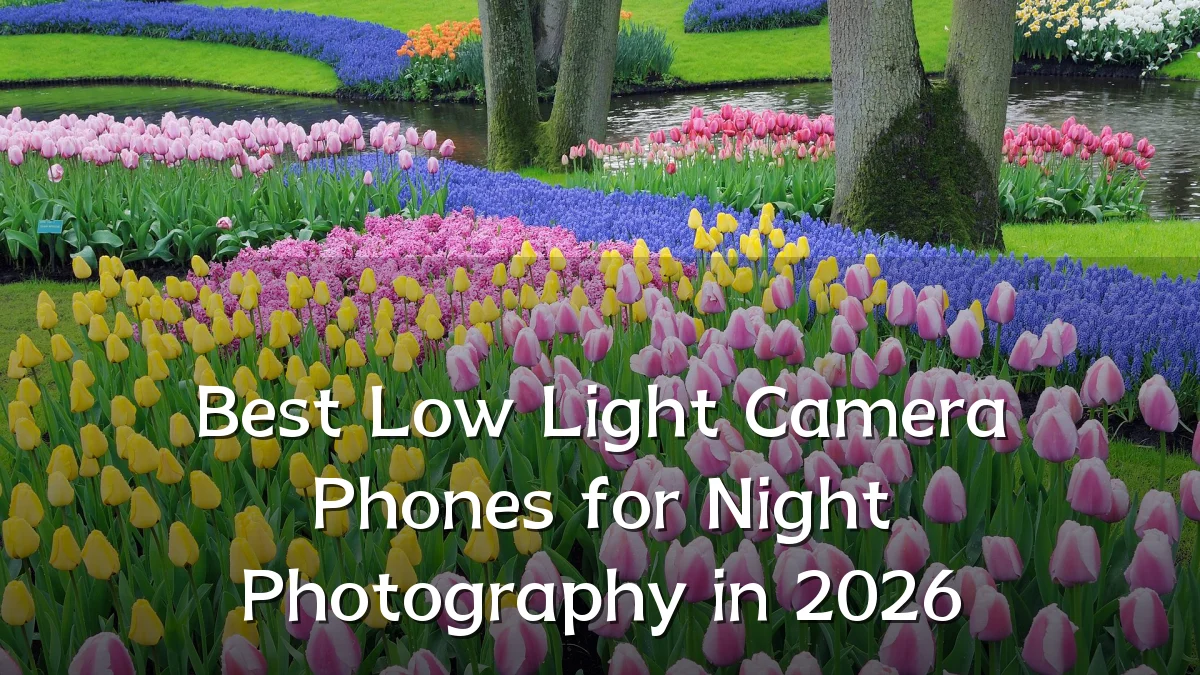 Best Low Light Camera Phones for Night Photography in 2026