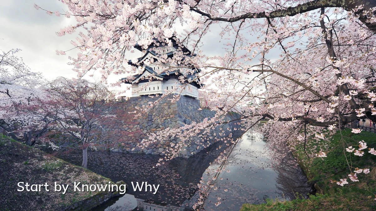 Start by Knowing Why