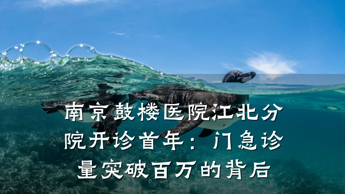 南京鼓楼医院江北分院开诊首年:门急诊量突破百万的背后
