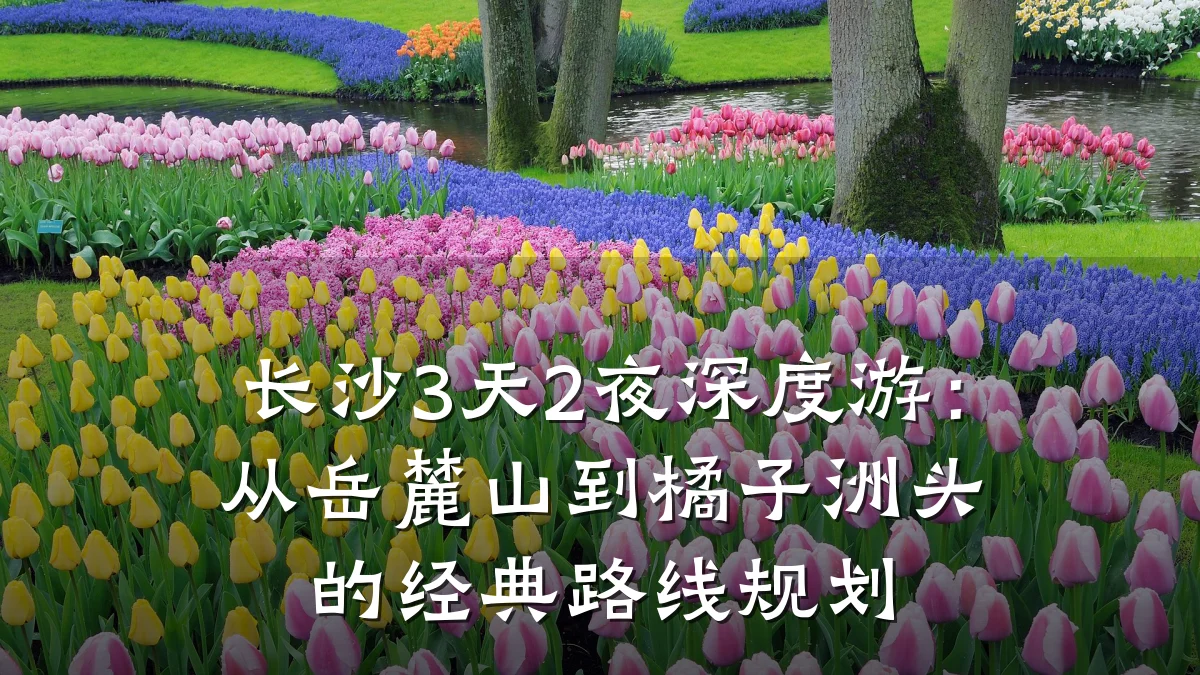 长沙3天2夜深度游：从岳麓山到橘子洲头的经典路线规划