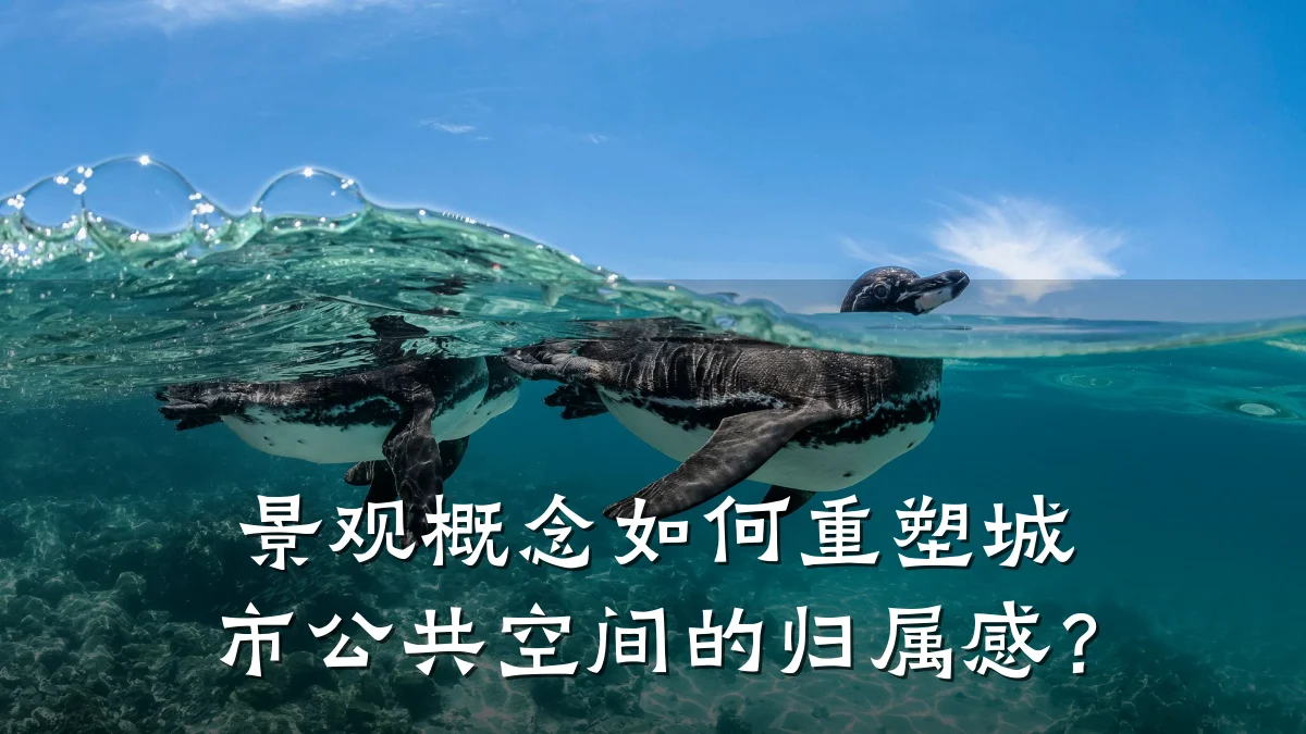 景观概念如何重塑城市公共空间的归属感？