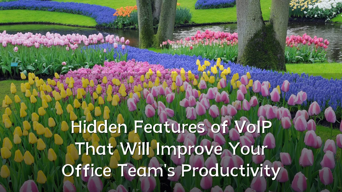 Hidden Features of VoIP That Will Improve Your Office Team's Productivity