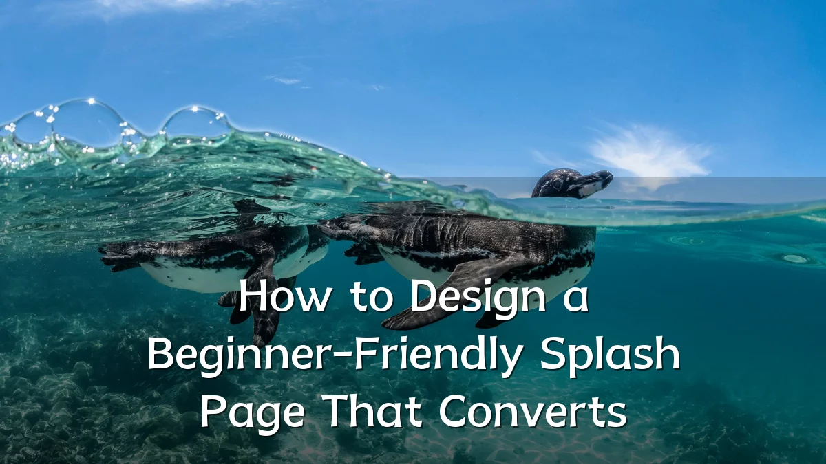 How to Design a Beginner-Friendly Splash Page That Converts
