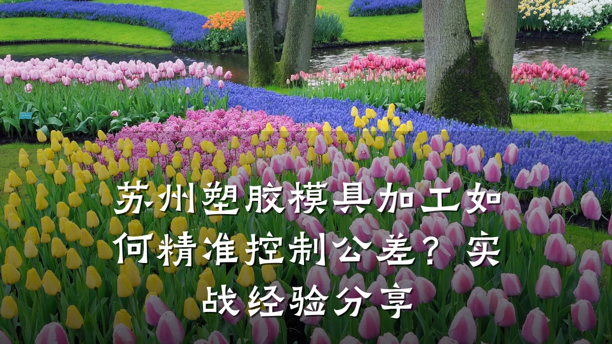 苏州塑胶模具加工如何精准控制公差?实战经验分享
