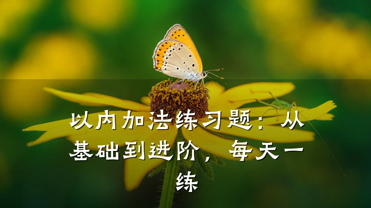 以内加法练习题：从基础到进阶，每天一练