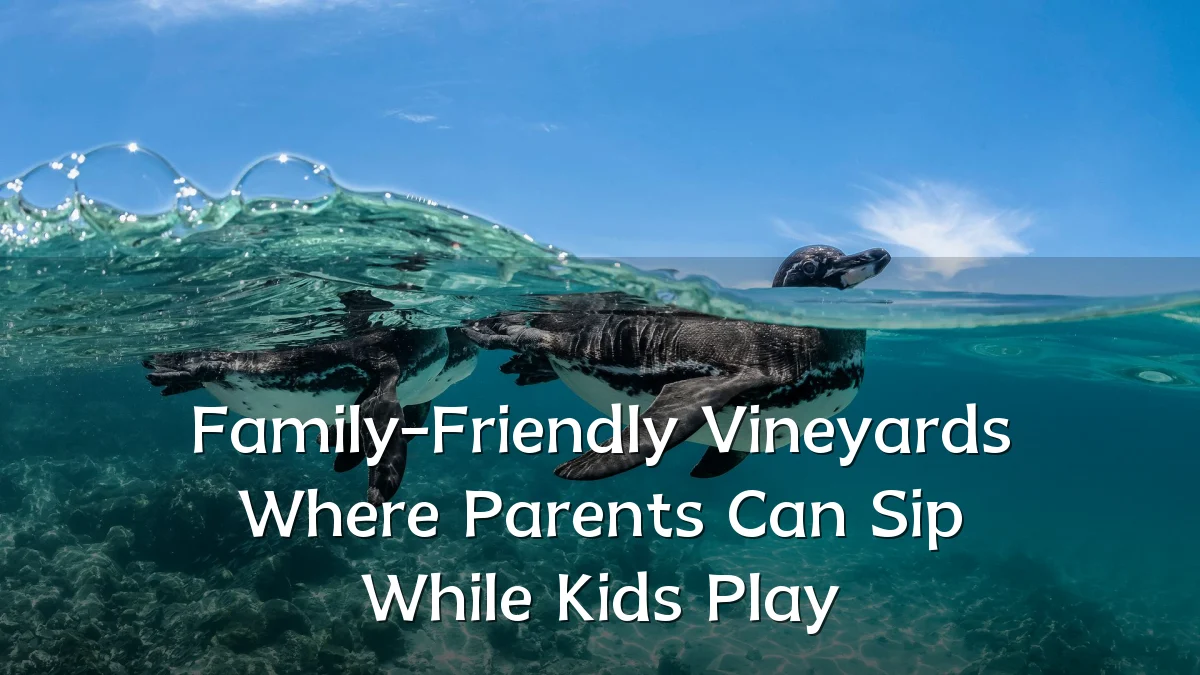 Family-Friendly Vineyards Where Parents Can Sip While Kids Play