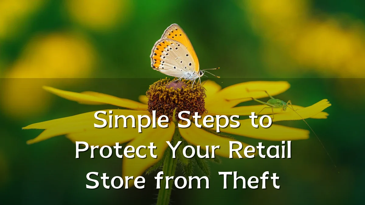 Simple Steps to Protect Your Retail Store from Theft