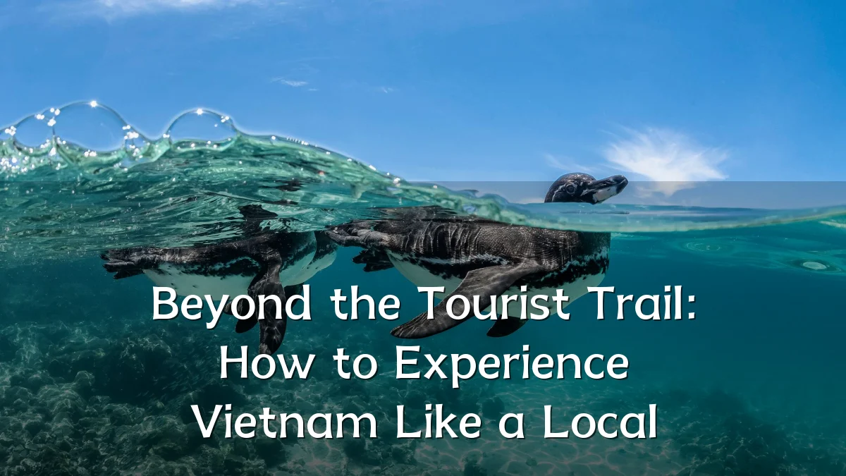 Beyond the Tourist Trail: How to Experience Vietnam Like a Local