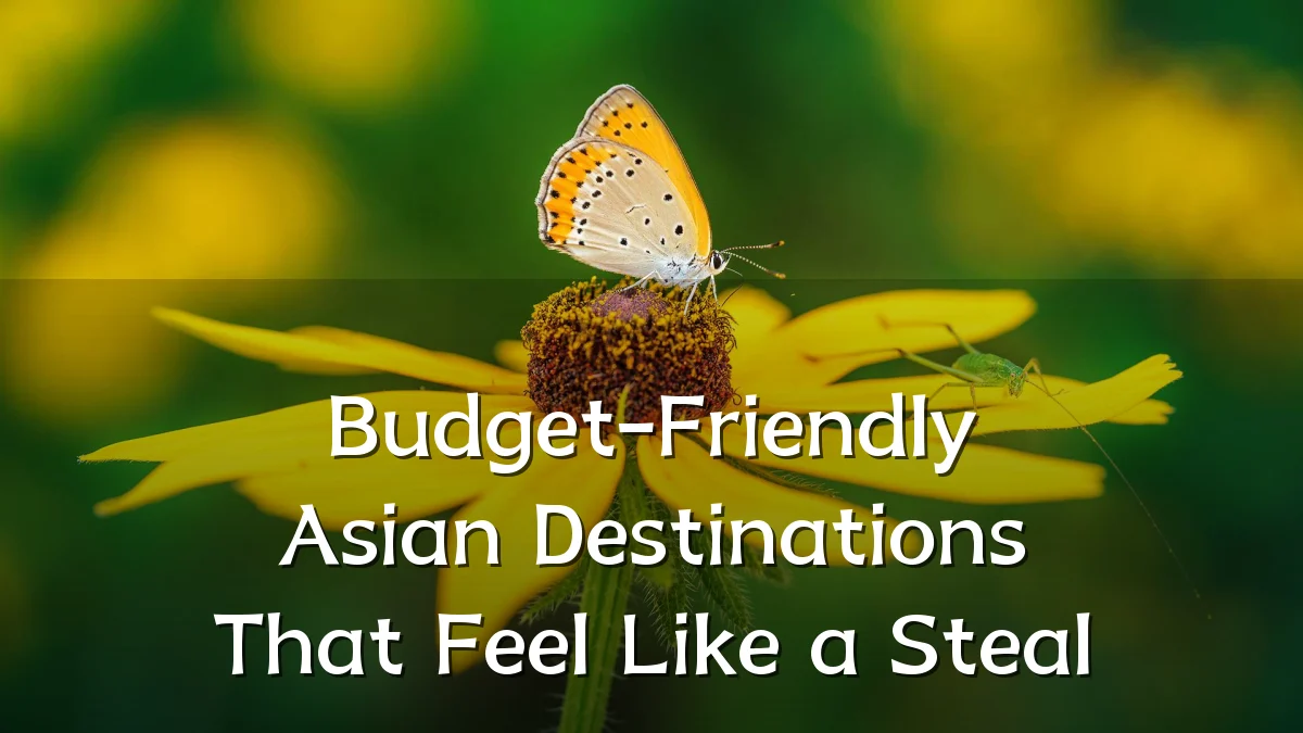Budget-Friendly Asian Destinations That Feel Like a Steal