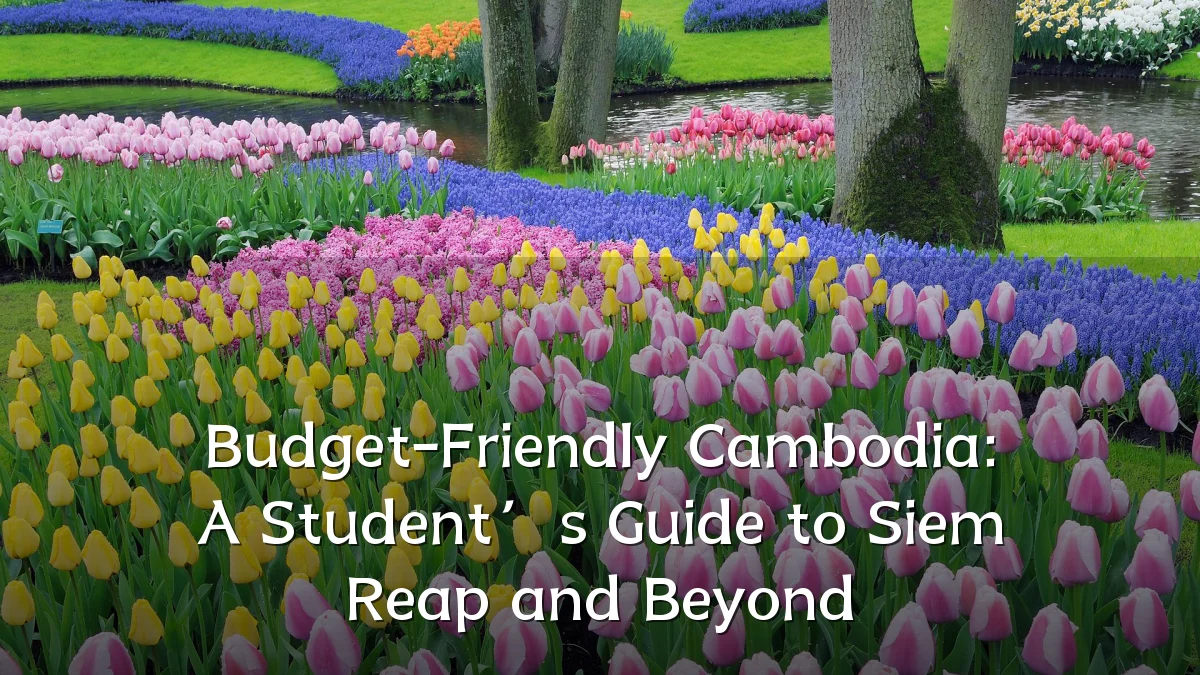 Budget-Friendly Cambodia: A Student’s Guide to Siem Reap and Beyond