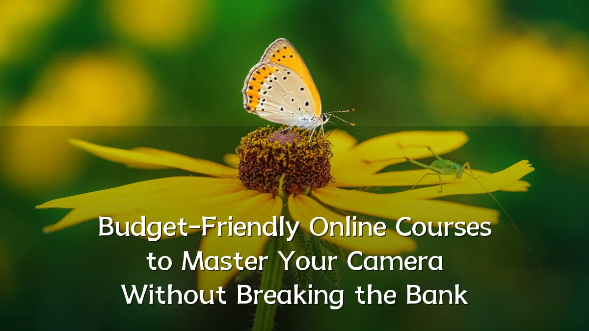 Budget-Friendly Online Courses to Master Your Camera Without Breaking the Bank