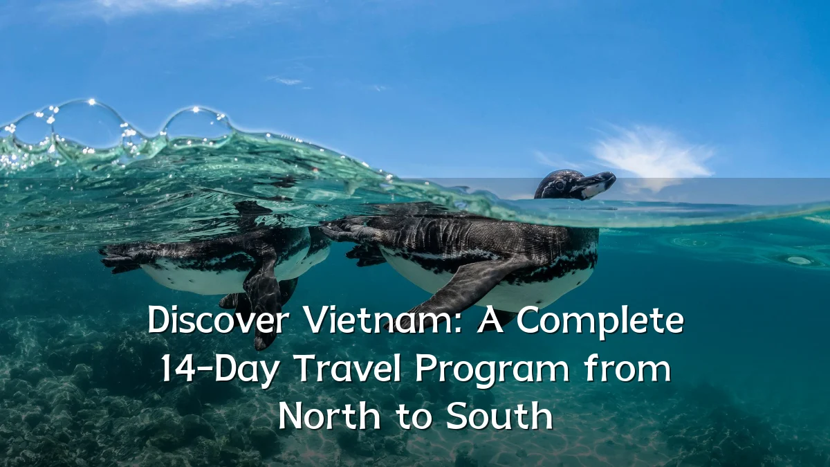Discover Vietnam: A Complete 14-Day Travel Program from North to South