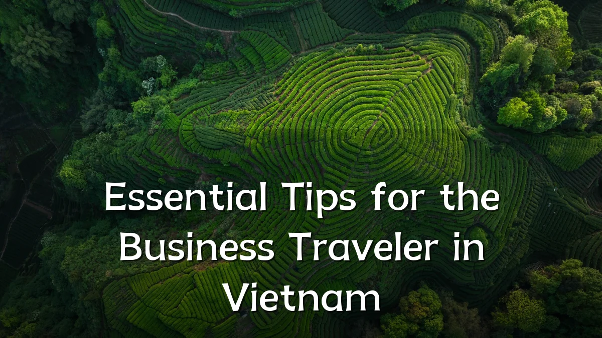 Essential Tips for the Business Traveler in Vietnam