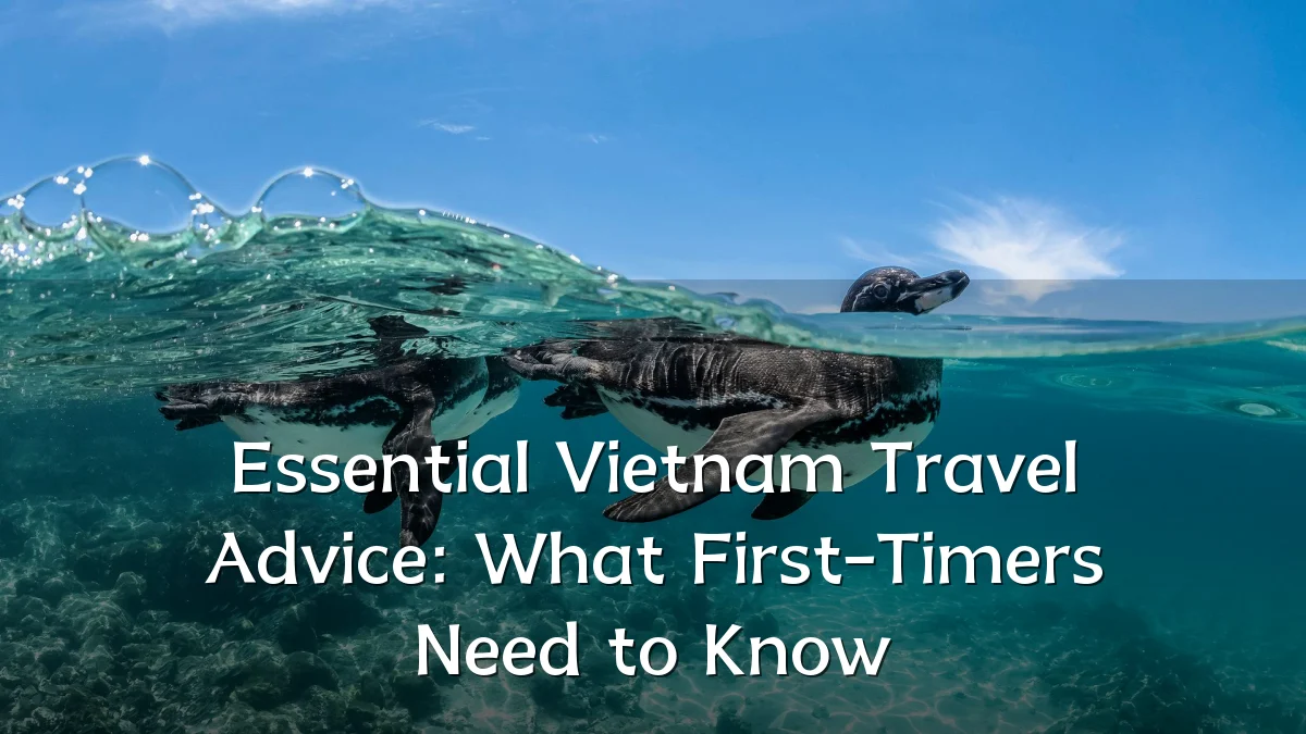 Essential Vietnam Travel Advice: What First-Timers Need to Know