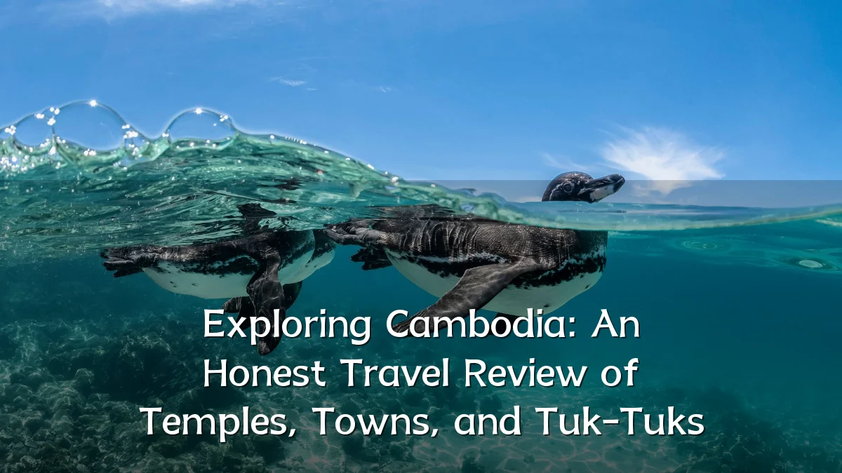 Exploring Cambodia: An Honest Travel Review of Temples, Towns, and Tuk-Tuks