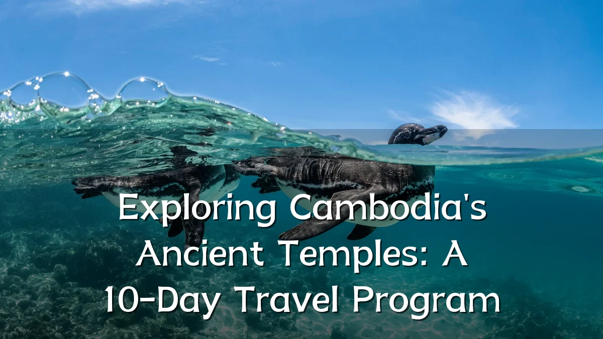 Exploring Cambodia's Ancient Temples: A 10-Day Travel Program