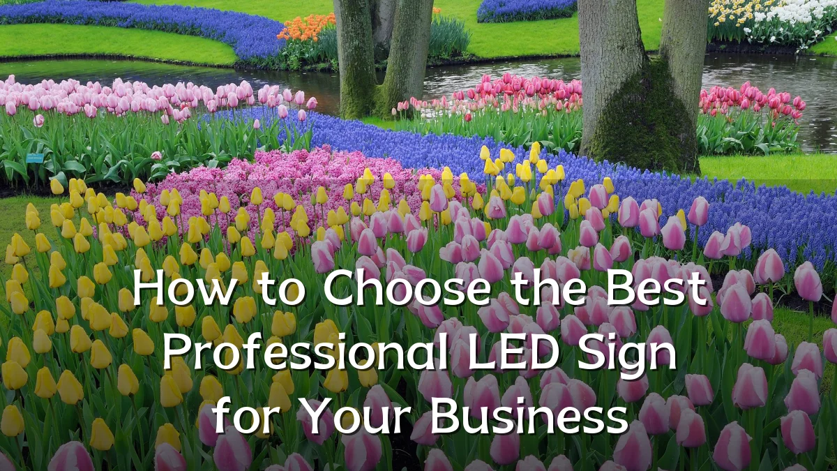 How to Choose the Best Professional LED Sign for Your Business