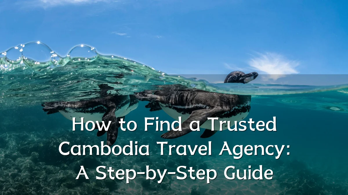 How to Find a Trusted Cambodia Travel Agency: A Step-by-Step Guide