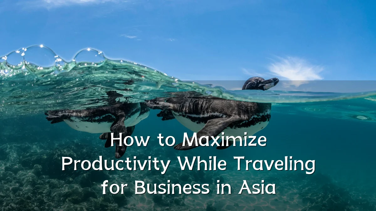 How to Maximize Productivity While Traveling for Business in Asia