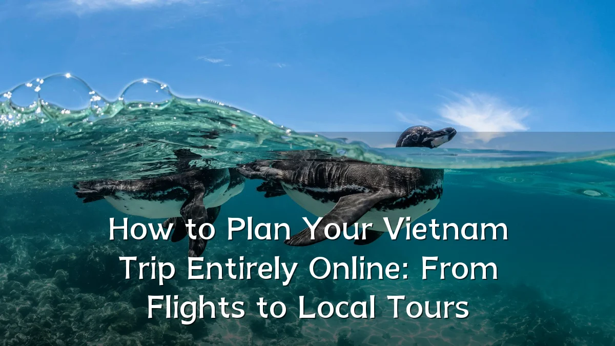 How to Plan Your Vietnam Trip Entirely Online: From Flights to Local Tours