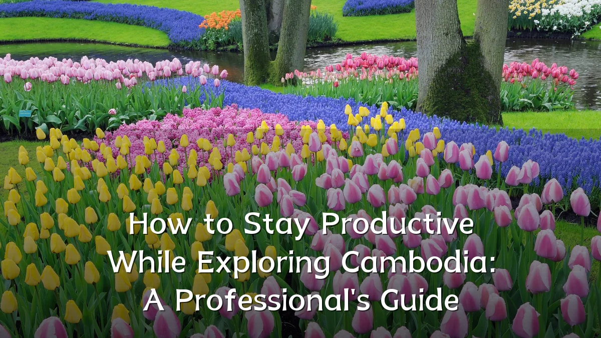 How to Stay Productive While Exploring Cambodia: A Professional's Guide
