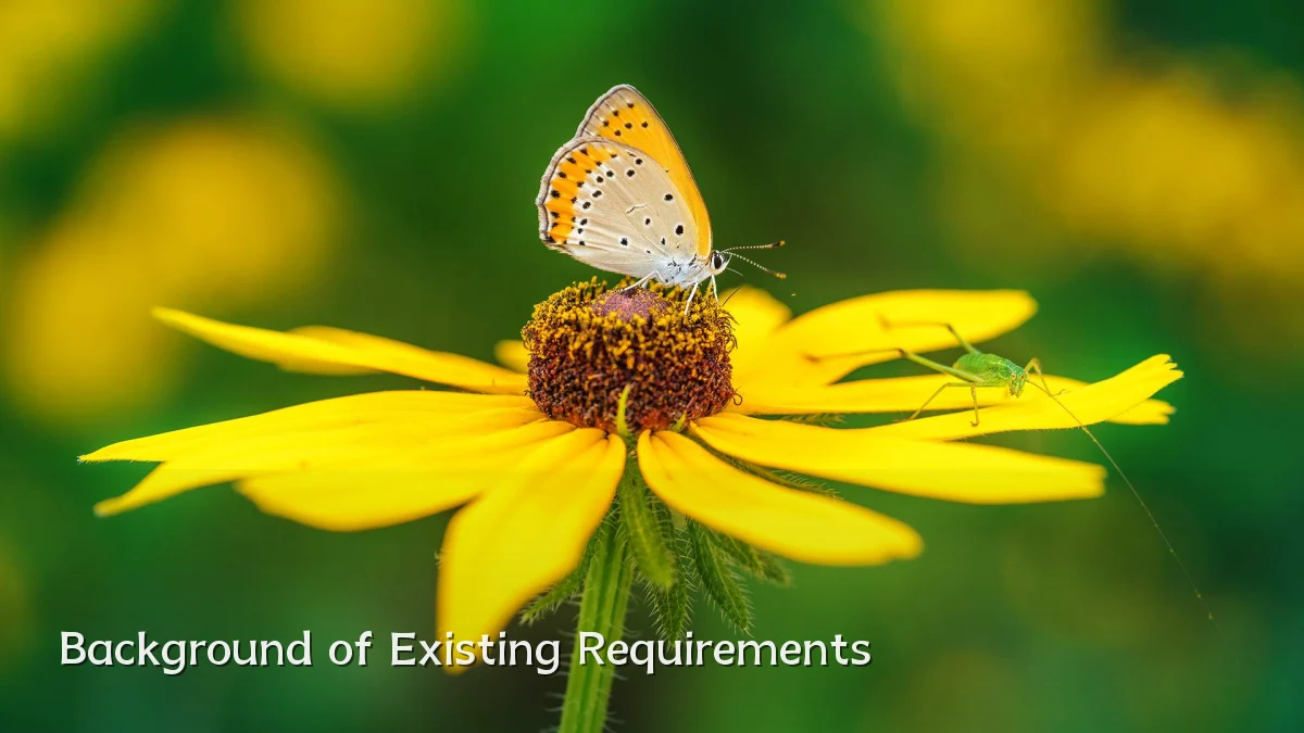 Background of Existing Requirements