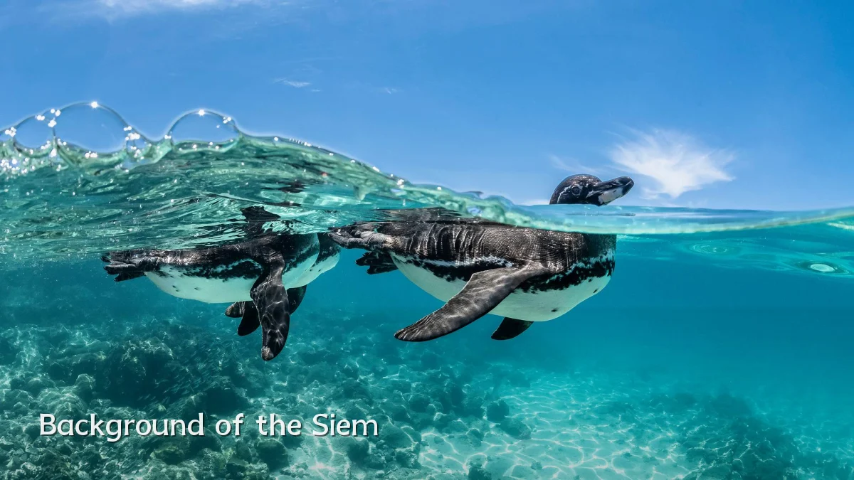 Background of the Siem