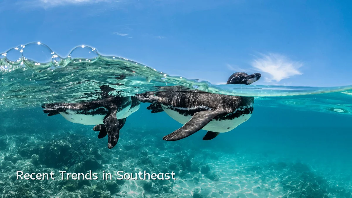Recent Trends in Southeast
