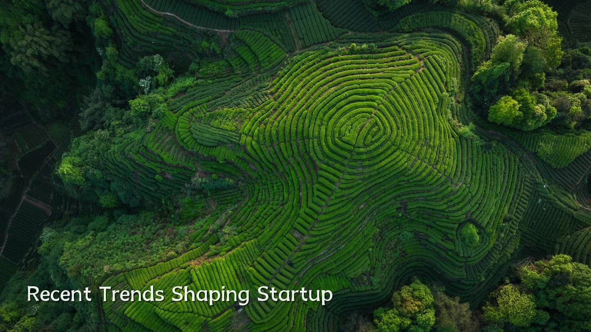 Recent Trends Shaping Startup