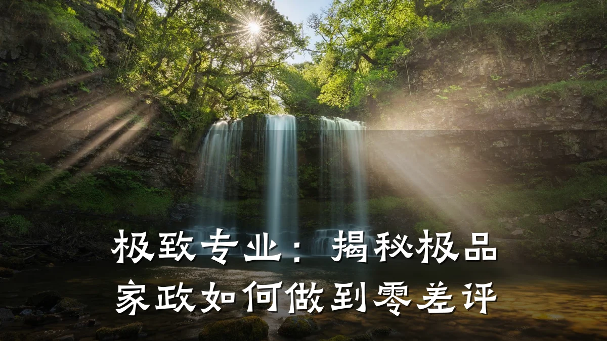 极致专业：揭秘极品家政如何做到零差评
