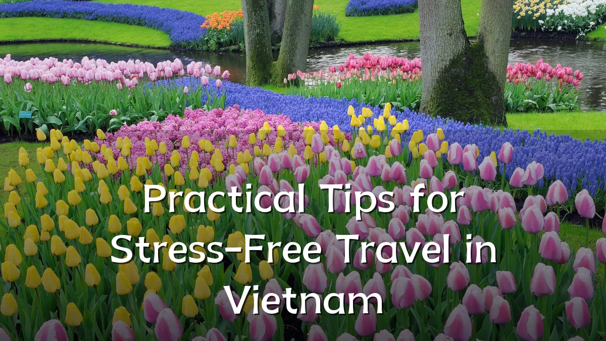 Practical Tips for Stress-Free Travel in Vietnam