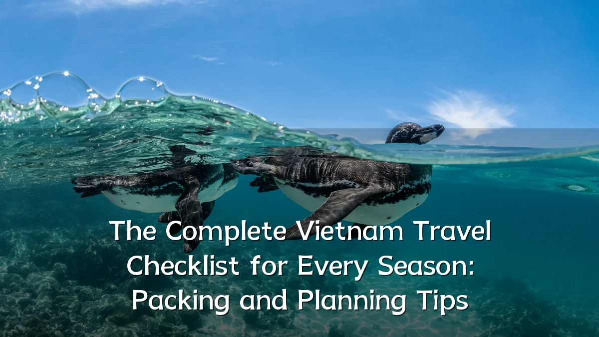 The Complete Vietnam Travel Checklist for Every Season: Packing and Planning Tips