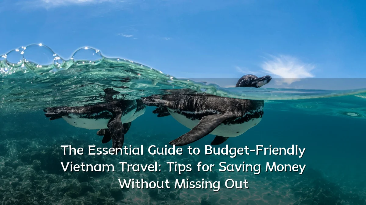 The Essential Guide to Budget-Friendly Vietnam Travel: Tips for Saving Money Without Missing Out