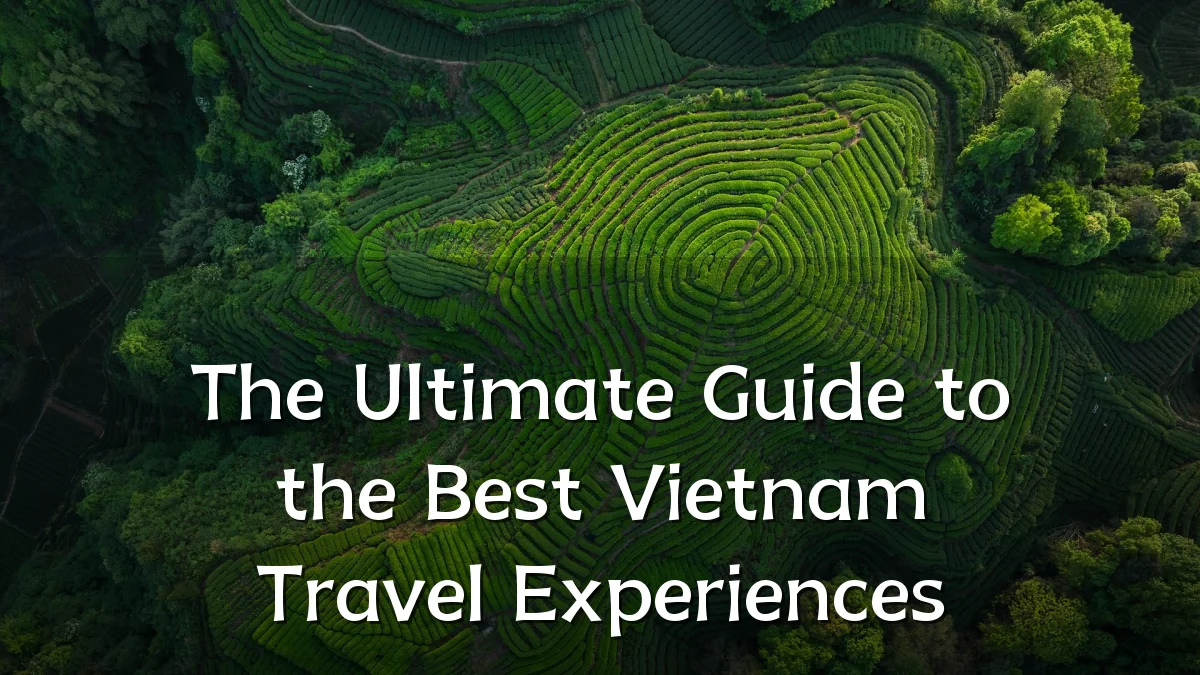 The Ultimate Guide to the Best Vietnam Travel Experiences