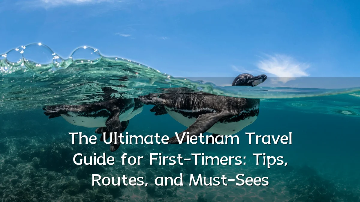 The Ultimate Vietnam Travel Guide for First-Timers: Tips, Routes, and Must-Sees