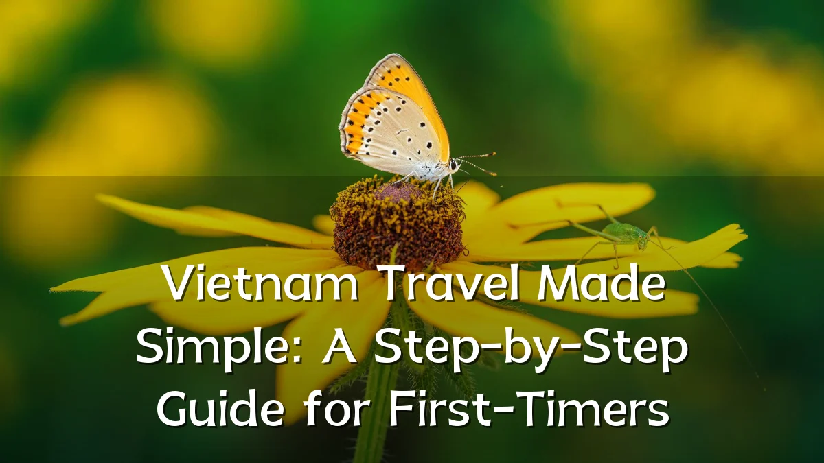 Vietnam Travel Made Simple: A Step-by-Step Guide for First-Timers