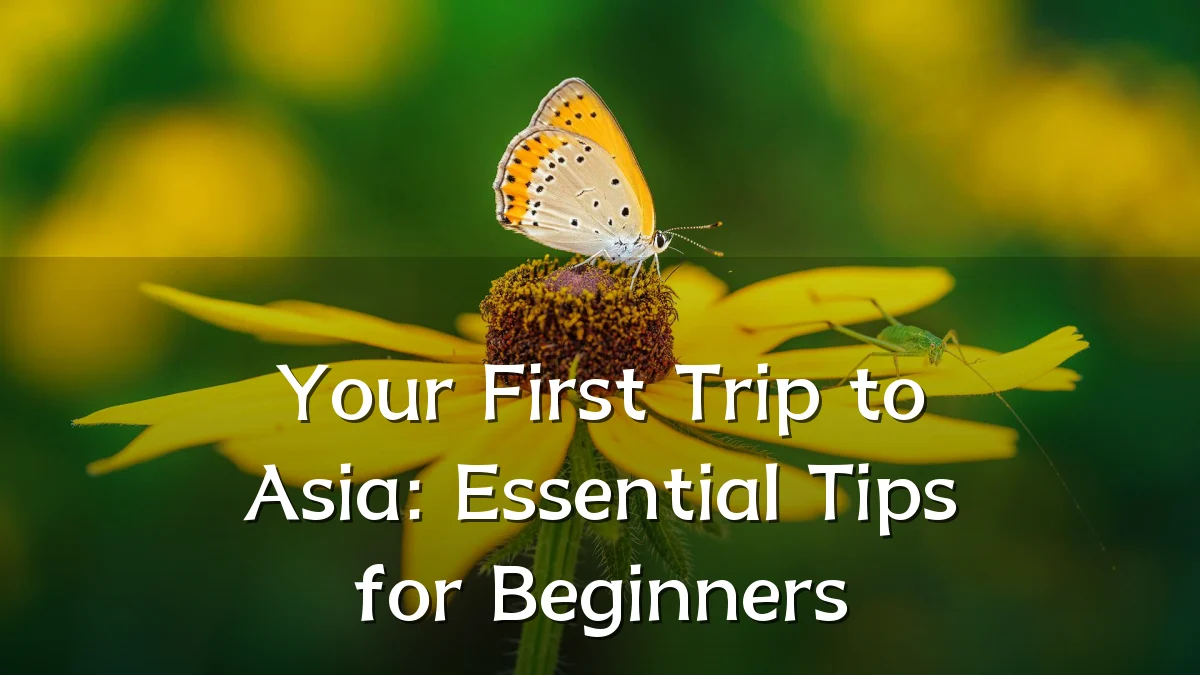 Your First Trip to Asia: Essential Tips for Beginners