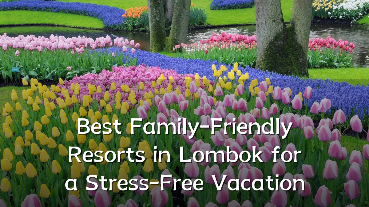 Best Family-Friendly Resorts in Lombok for a Stress-Free Vacation