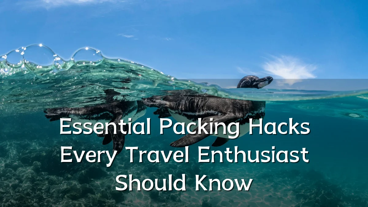 Essential Packing Hacks Every Travel Enthusiast Should Know