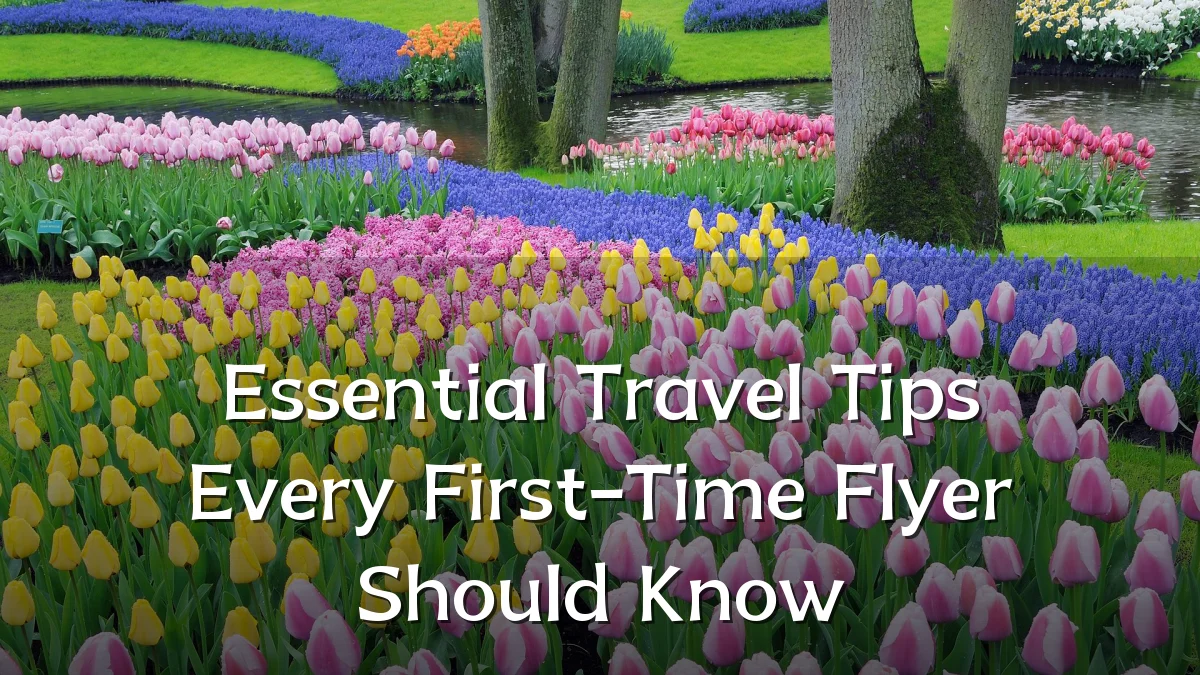 Essential Travel Tips Every First-Time Flyer Should Know