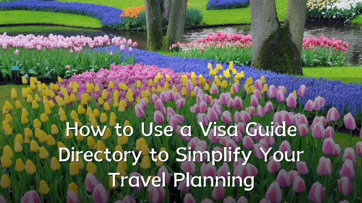 How to Use a Visa Guide Directory to Simplify Your Travel Planning