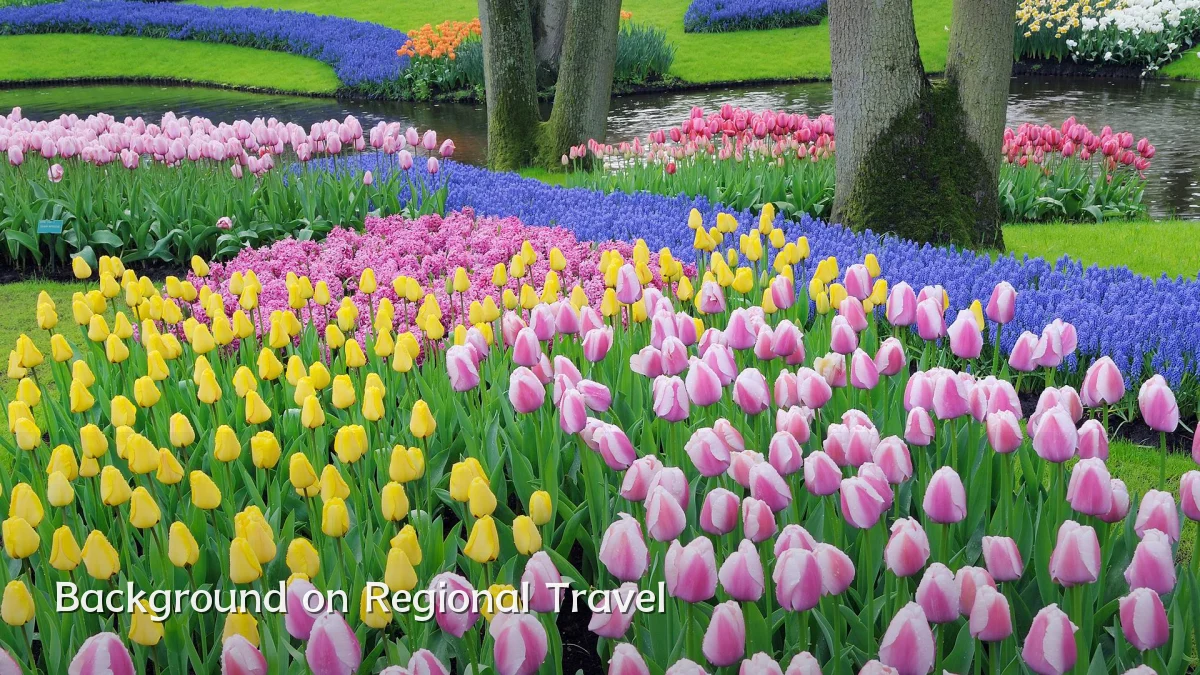 Background on Regional Travel