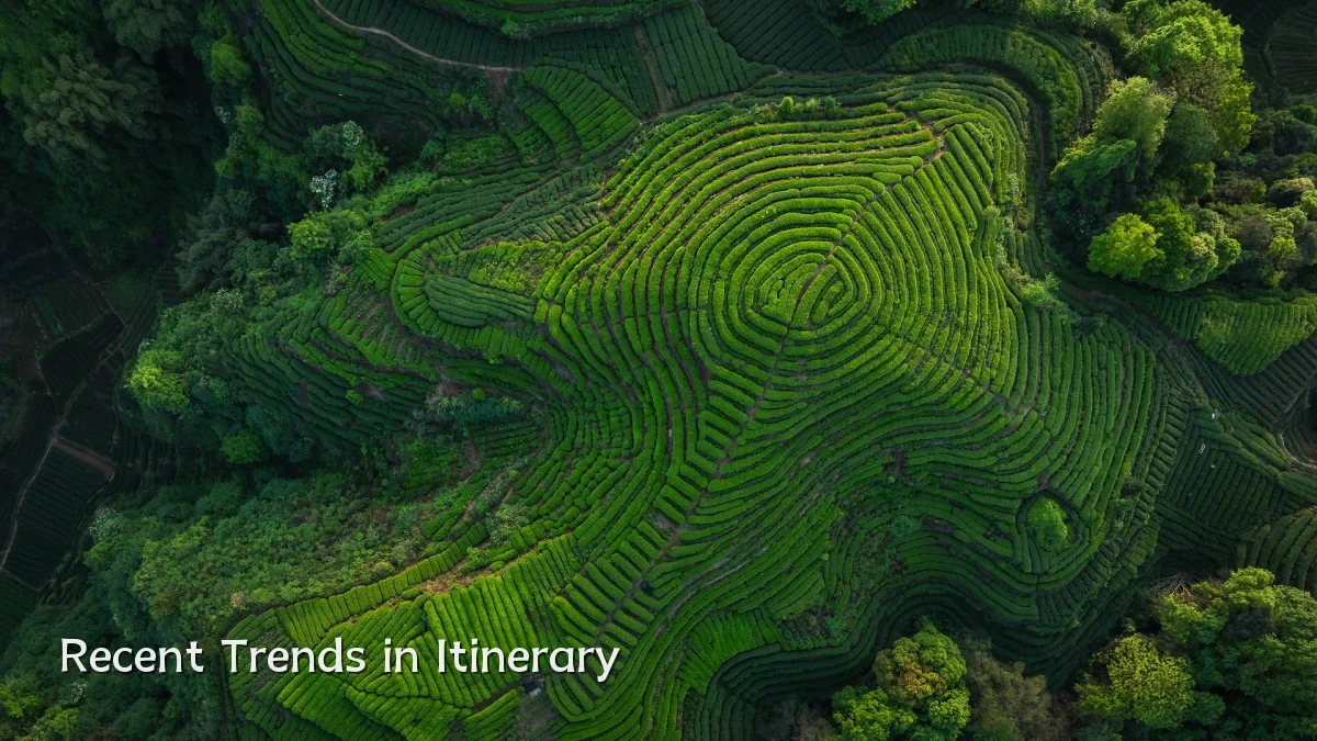 Recent Trends in Itinerary