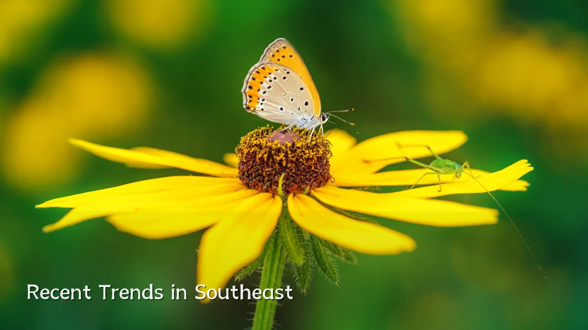 Recent Trends in Southeast