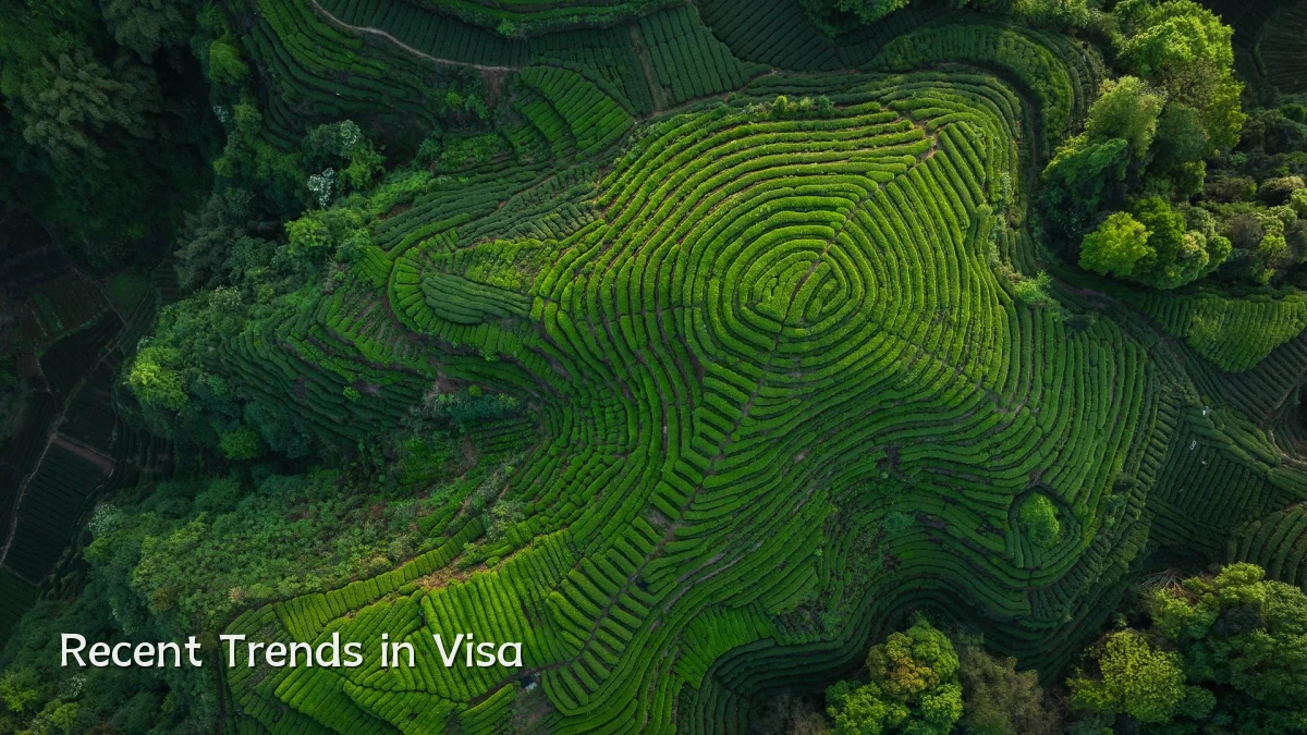 Recent Trends in Visa
