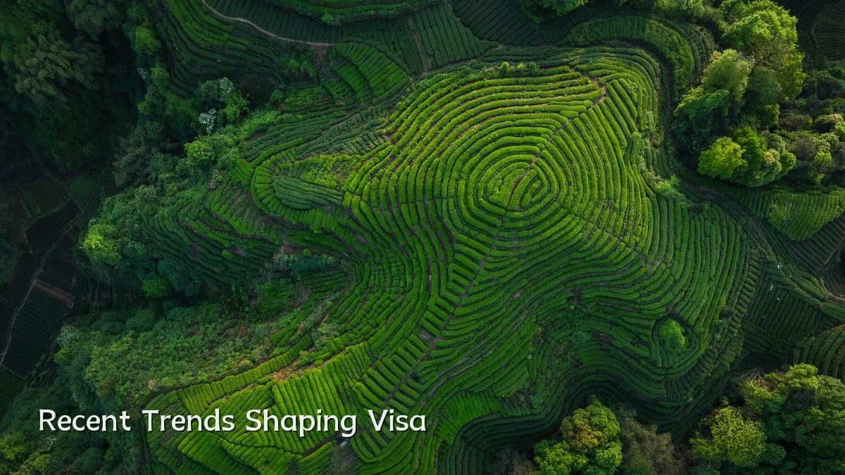 Recent Trends Shaping Visa