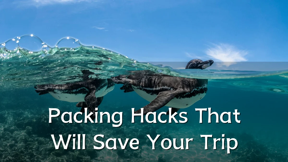 Packing Hacks That Will Save Your Trip