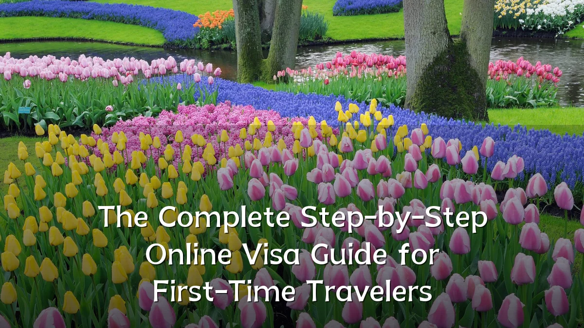 The Complete Step-by-Step Online Visa Guide for First-Time Travelers