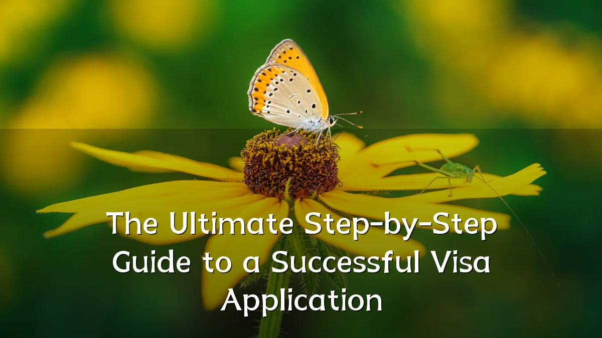 The Ultimate Step-by-Step Guide to a Successful Visa Application