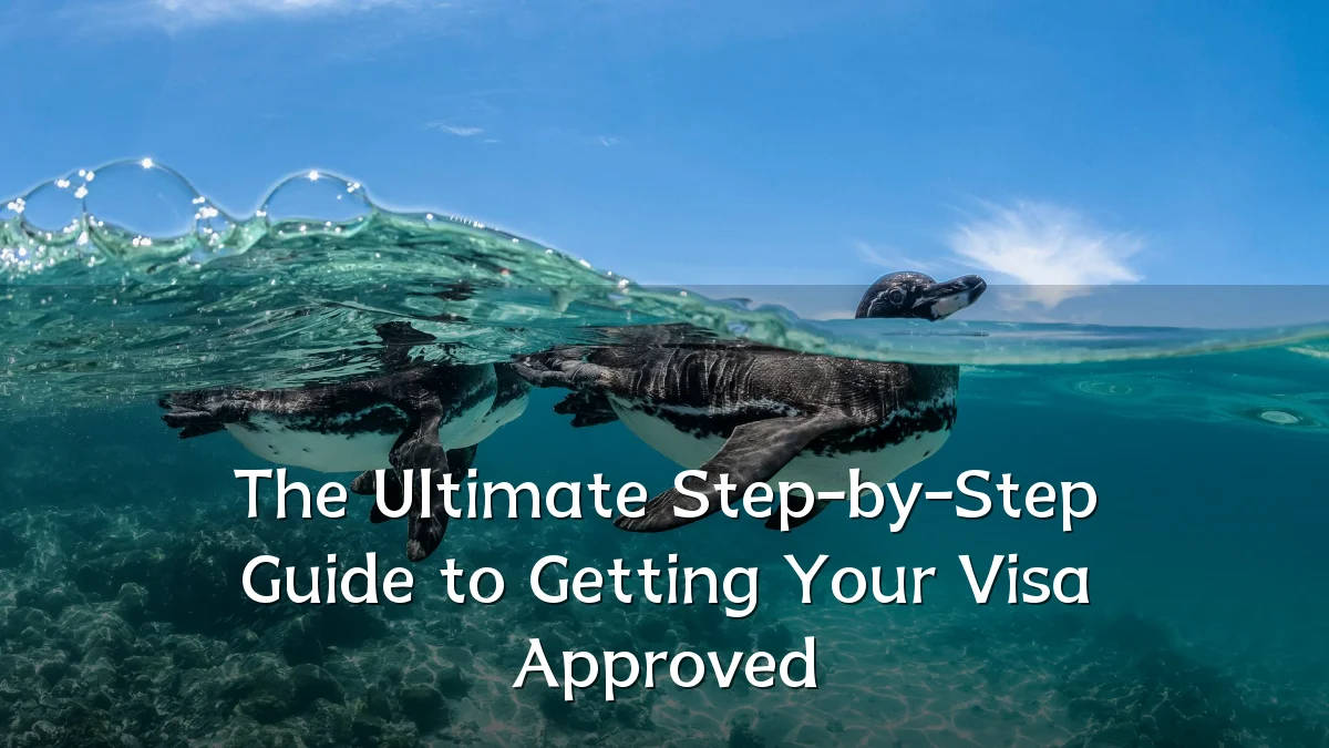 The Ultimate Step-by-Step Guide to Getting Your Visa Approved